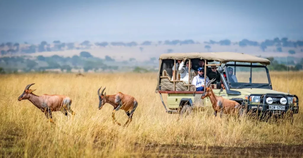 Masai Mara Safari Cost 2 Weeks: Plan Your Dream 14-Day Adventure 16 masai mara safari cost 2 weeks 28157156