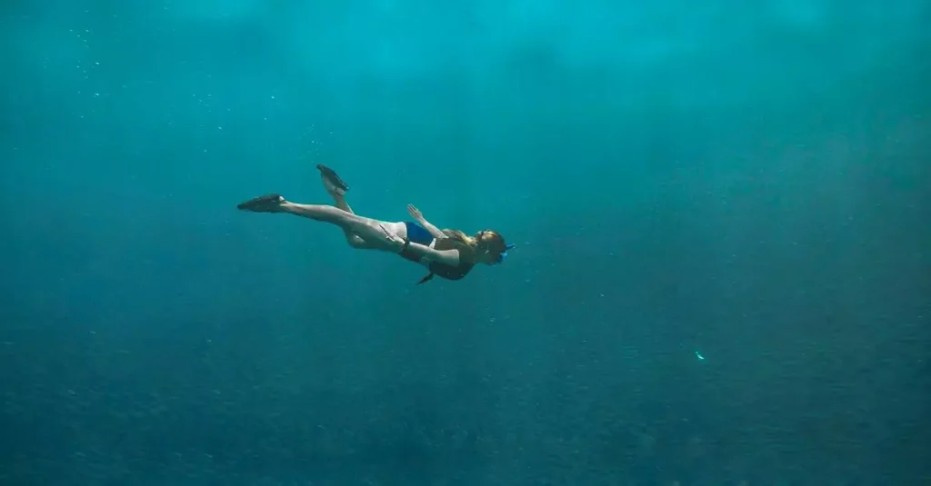 moalboal diving price 2403531