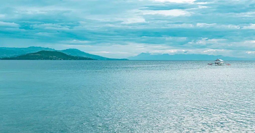 moalboal island hopping price 12246340