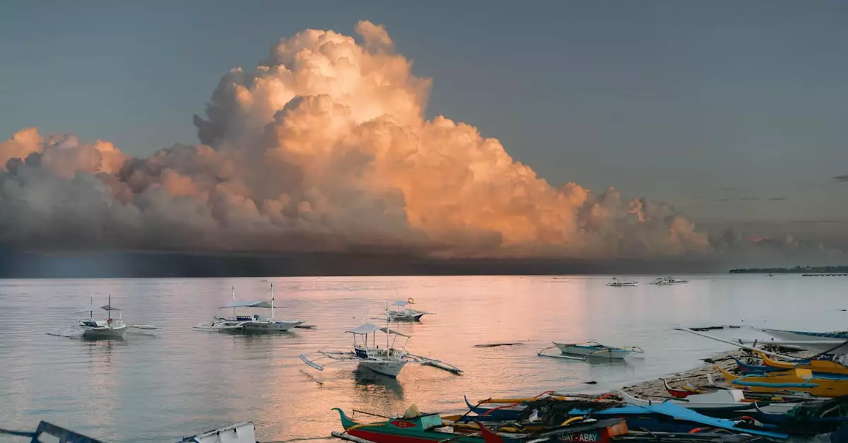 moalboal island hopping price