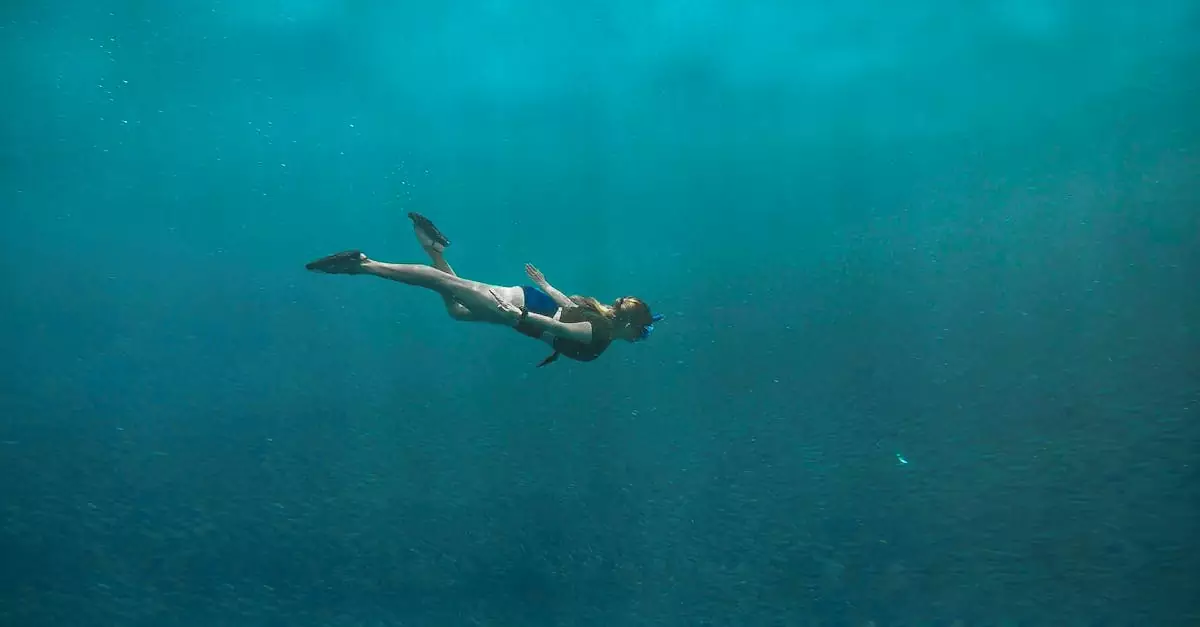 moalboal sardine run tour price