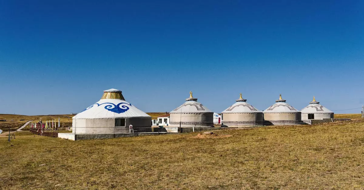 mongolia camping tour cost