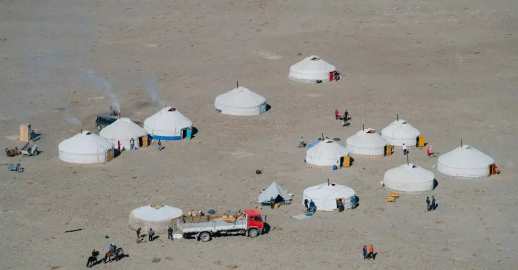 mongolia desert camping cost 6408356