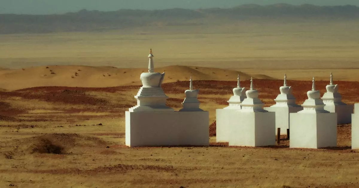 mongolia emergency travel cost