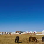 mongolia-ger-camp-price_35497986
