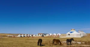 mongolia ger camp price 35497986