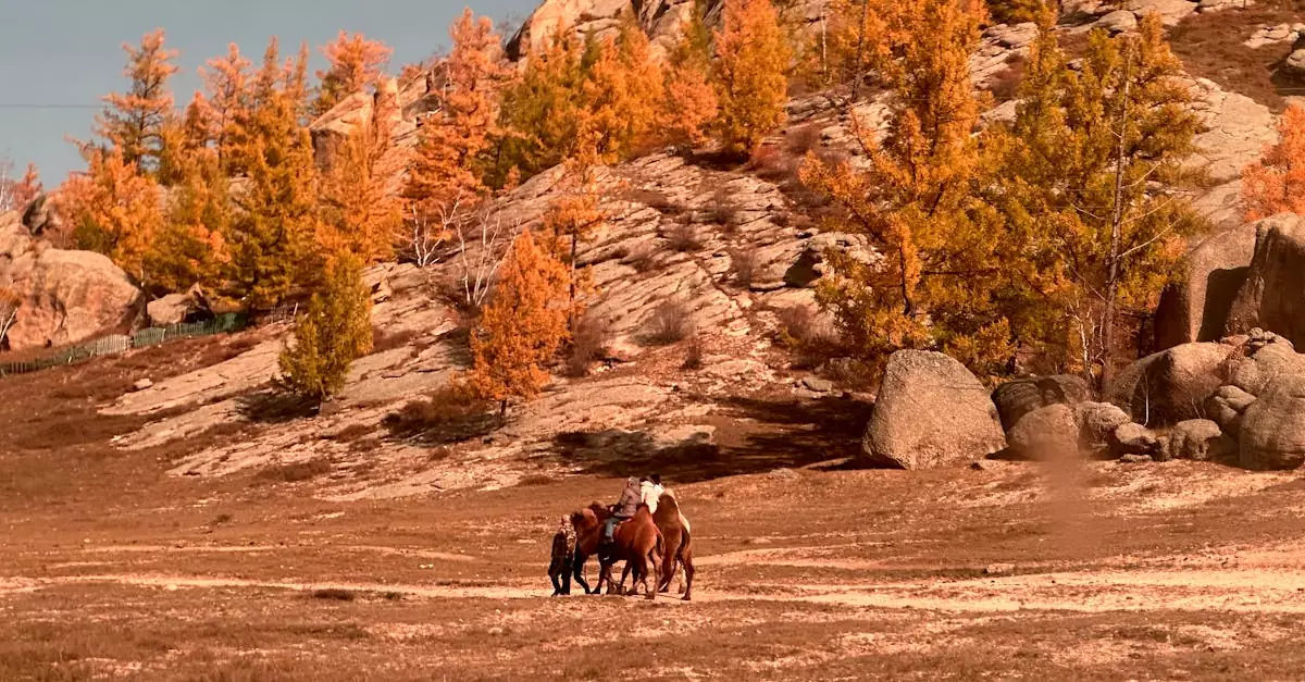 mongolia horse riding tour cost