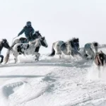 mongolia-horse-riding-tour-cost_34721874