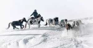 mongolia horse riding tour cost 34721874