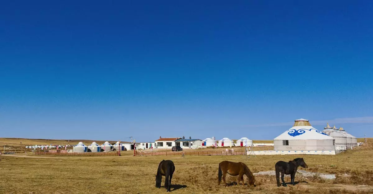 Mongolia Hotel Price Per Night (Budget to Luxury) 4 mongolia hotel price per night