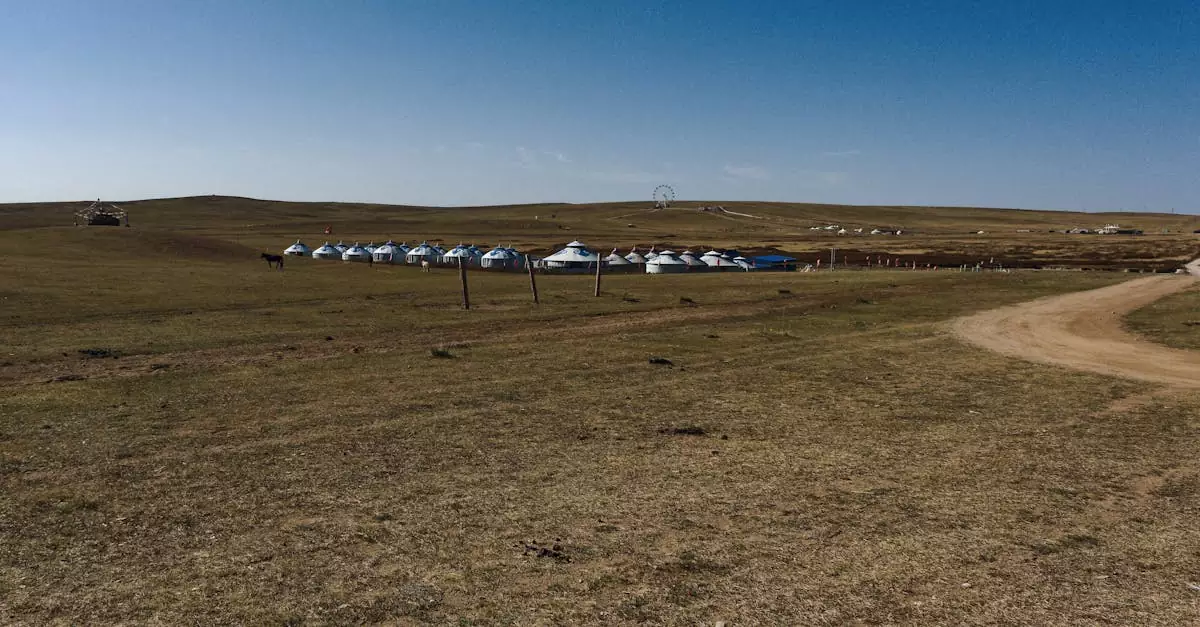 Mongolia Nomadic Experience Cost (Authentic Stay Guide) 10 mongolia nomadic experience cost