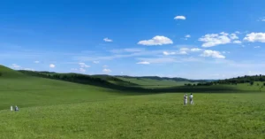 mongolia tour cost per person 30109534