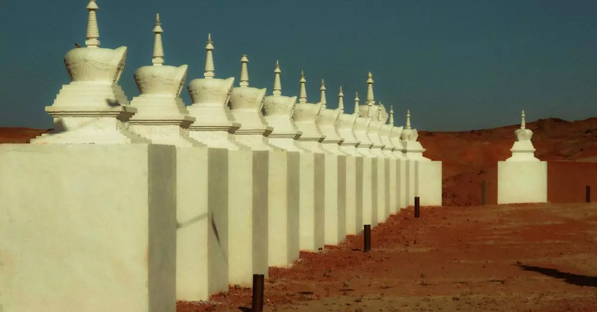 mongolia tour package price