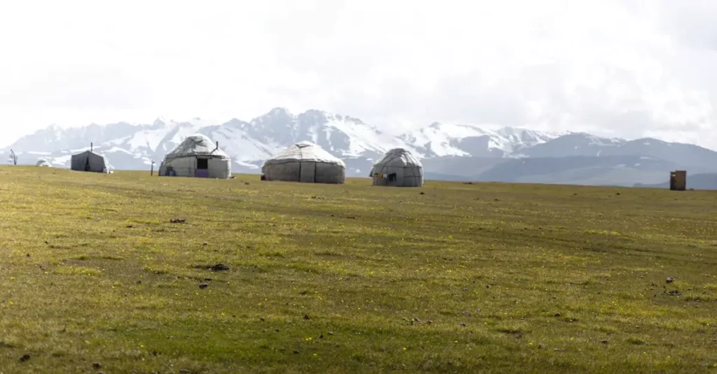 mongolia vs kazakhstan travel cost 24778684