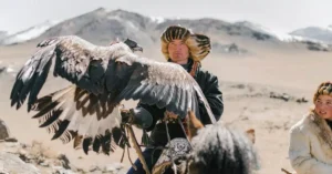 mongolia wildlife tour cost 5275475