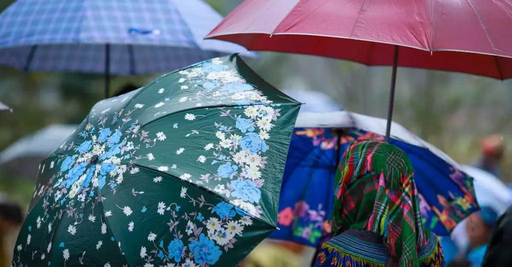 pakse rainy season travel cost 34152727