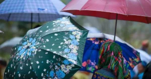 pakse rainy season travel cost 34152727
