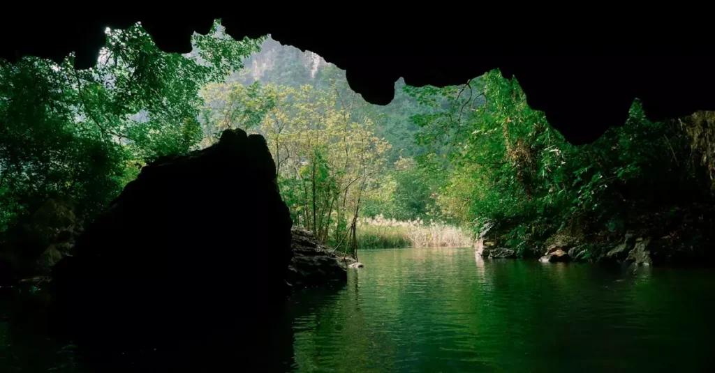 phong nha cave tour price 36092064