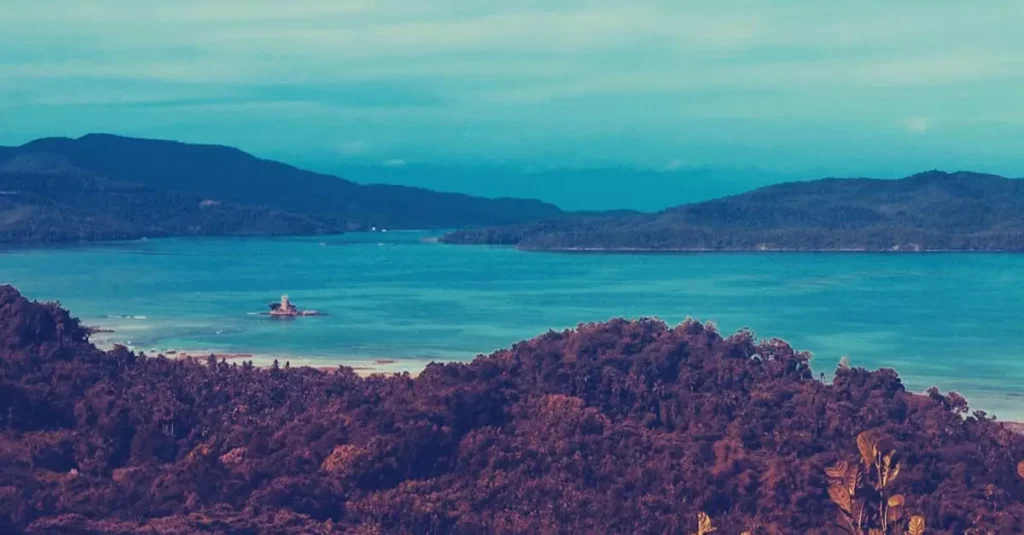 puerto princesa travel cost 731220