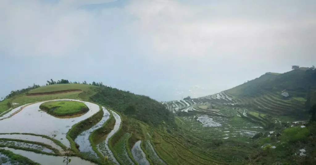 sapa trekking cost per day 36972554