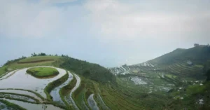 sapa trekking cost per day 36972554