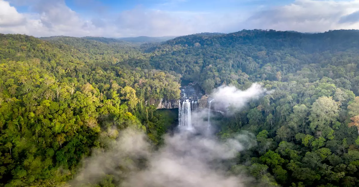 tad fane waterfall ticket price