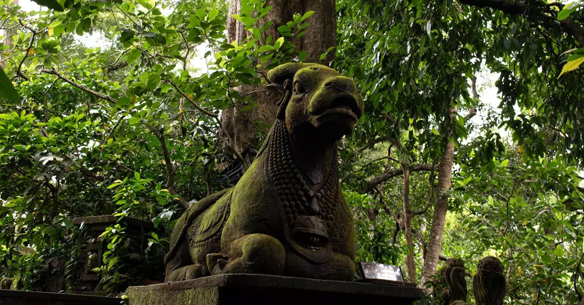 ubud bike tour price