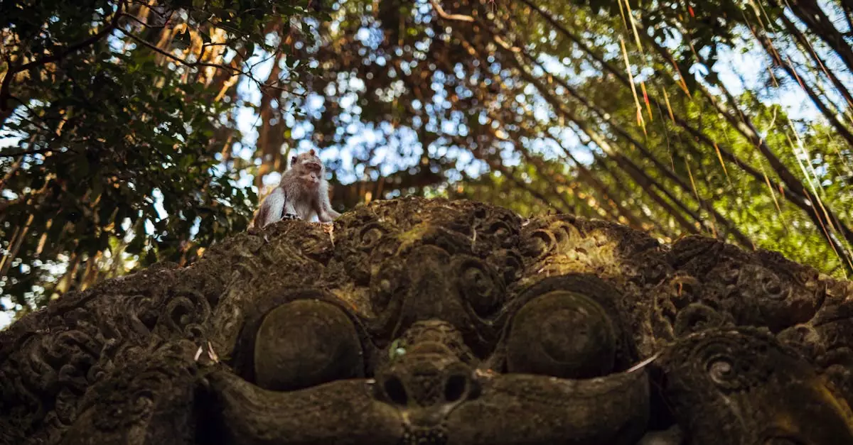 ubud monkey forest ticket price