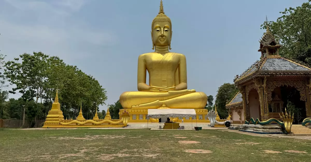 vientiane buddha park ticket price