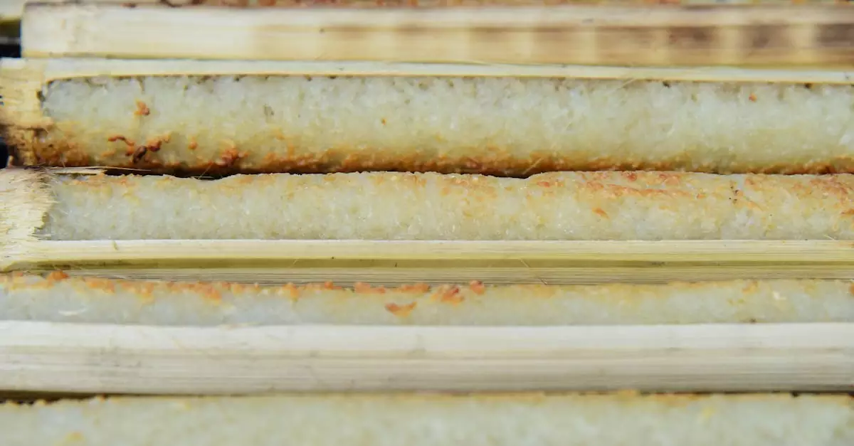 vientiane cooking class price