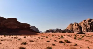 wadi rum vs sahara cost 18717322