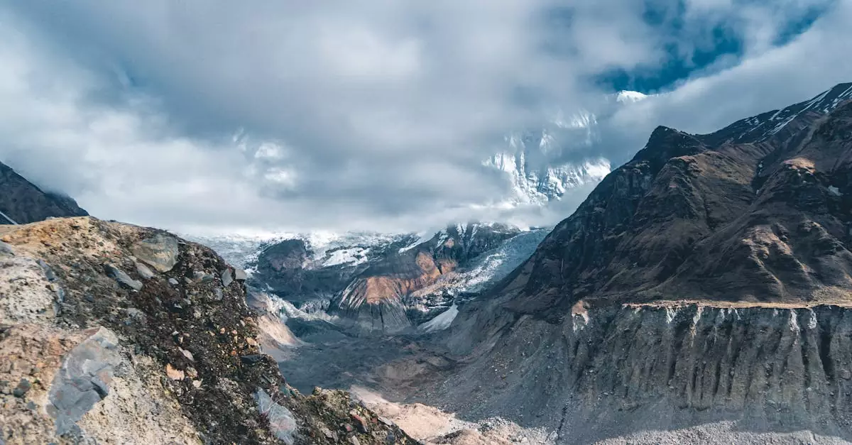 abc trek gear rental price