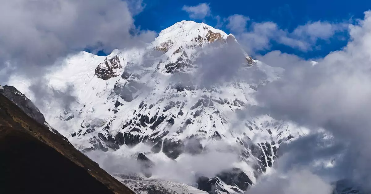 abc trek permit cost