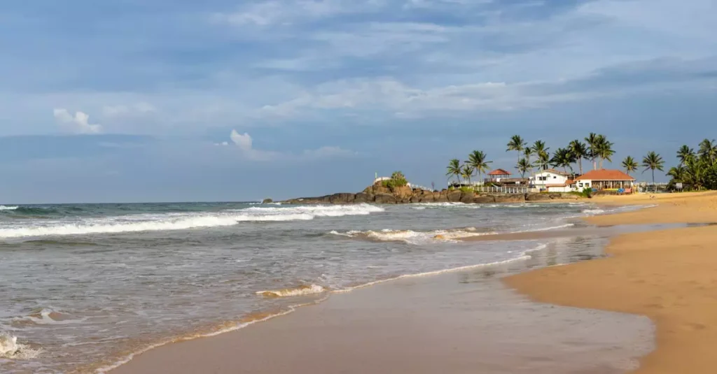bentota hotel price per night 15689754