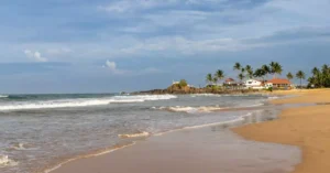 bentota hotel price per night 15689754