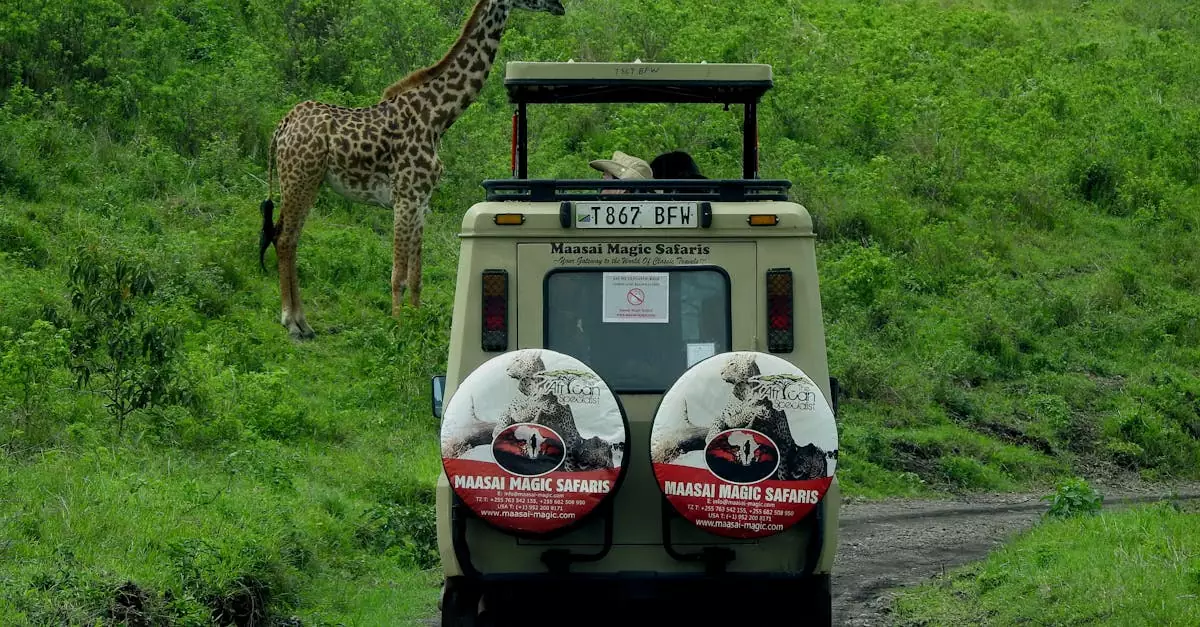 Explore Tanzania's wildlife on a Maasai Magic Safari tour with giraffes in their natural habitat.