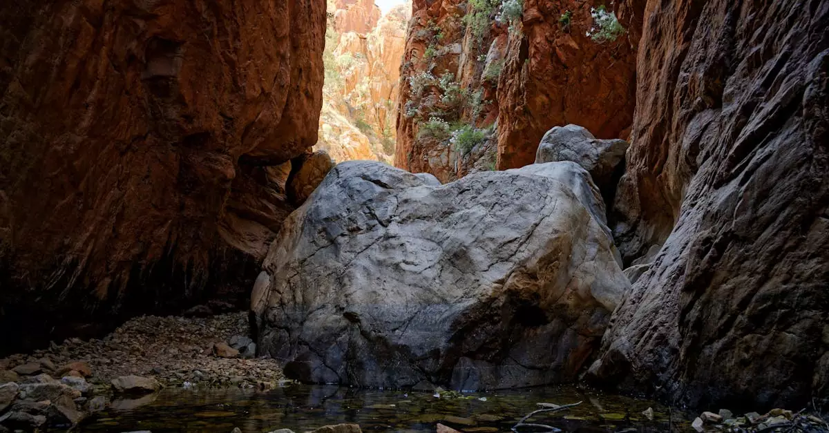 Explore the stunning red rock formations in this serene Central Australia canyon landscape.