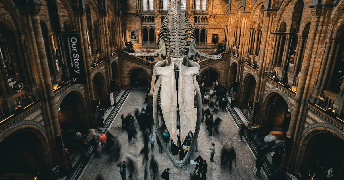 Aerial view of the Natural History Museum in London, featuring a whale skeleton and visitors.