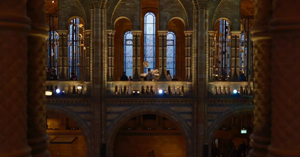 Beautiful view of the Natural History Museum's interior, showcasing its iconic Gothic-style arches and ambient lighting.