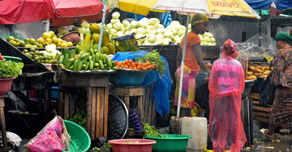 Colorful market with fruits and vegetables in Monrovia, Liberia during rain, showcasing local culture.