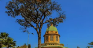 Stunning architecture of a religious building with a distinctive dome near a large tree against a clear blue sky.