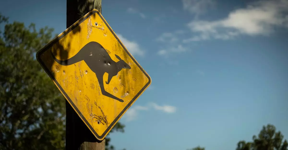 Kangaroo crossing road sign in Brisbane, Australia with clear blue sky background.
