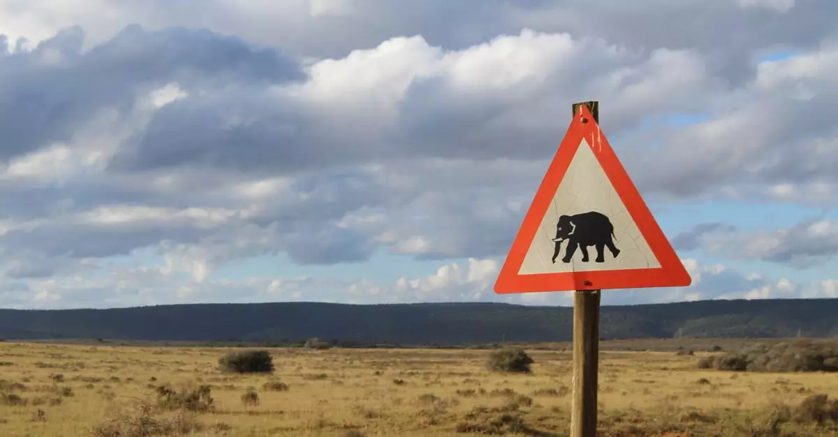 Triangular elephant crossing sign in vast African savanna under cloudy sky.