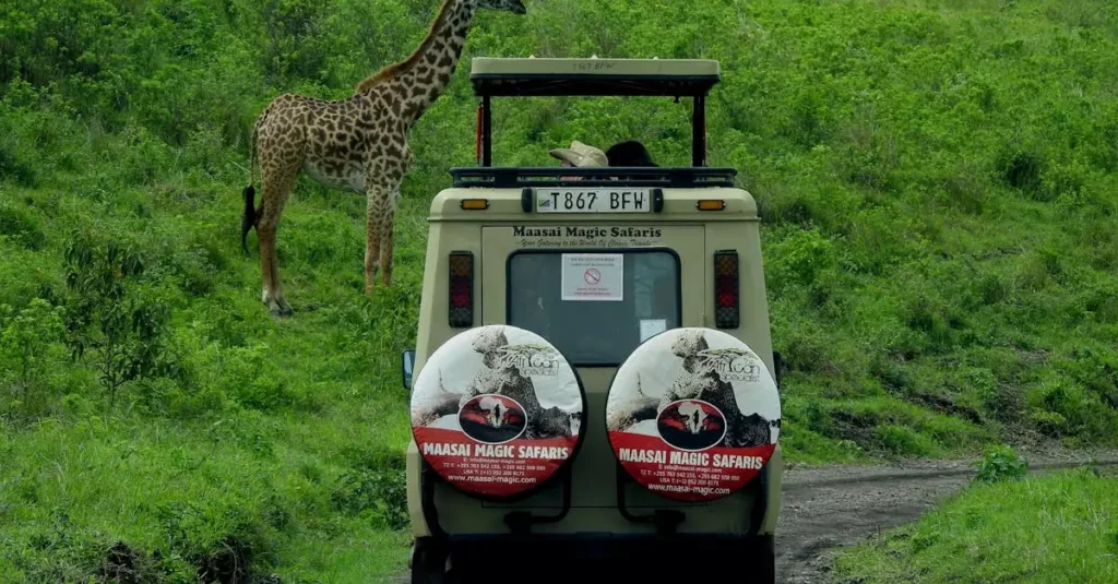 Explore Tanzania's wildlife on a Maasai Magic Safari tour with giraffes in their natural habitat.