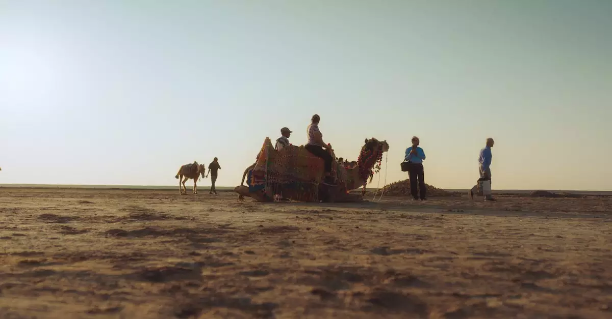 A scenic camel ride at sunset on a desert landscape in Ahmedabad, Gujarat, India.