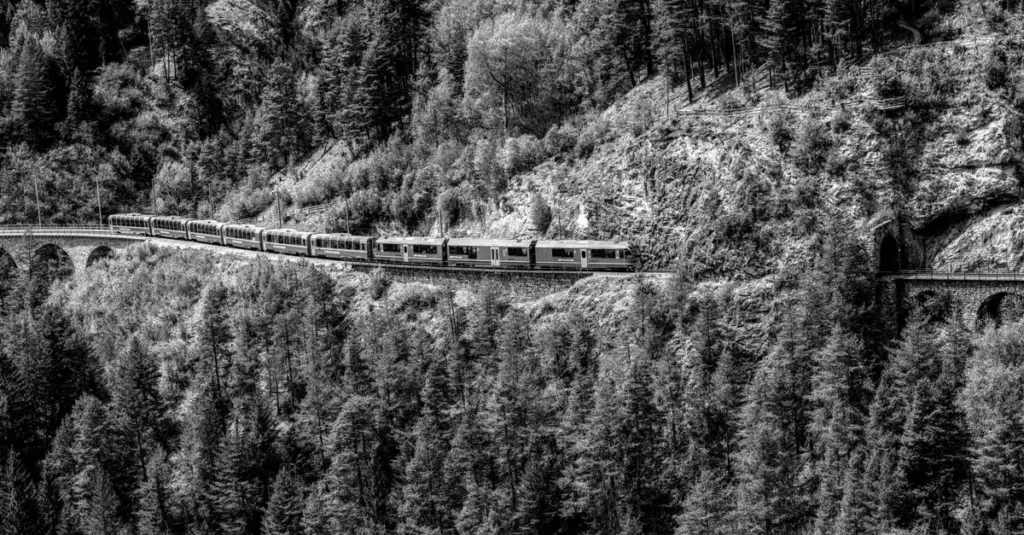 Scenic black and white photo of a train crossing an Alpine viaduct through a dense forest.