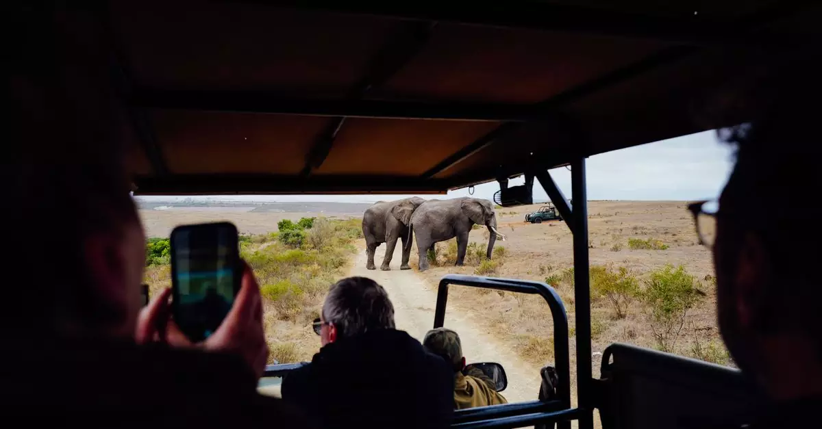 Tourists observe African elephants from a safari vehicle during an adventurous wildlife tour.