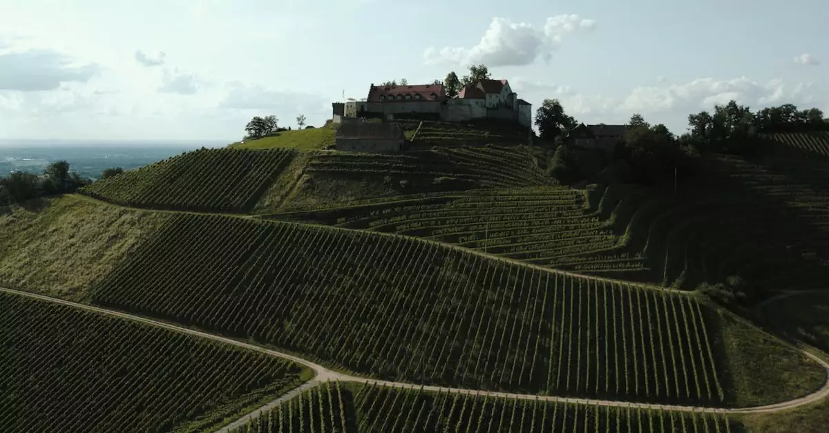 Stunning drone view of Schloss Staufenberg surrounded by lush vineyards in Germany.