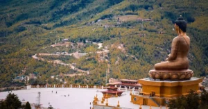 bhutan sim card price tourist 15319433