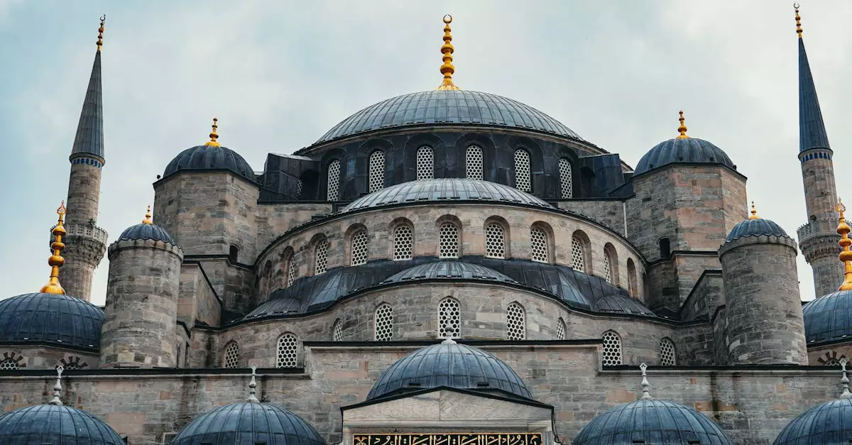 blue mosque entry fee